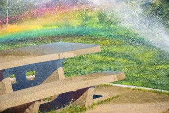 Olivia Hill contemporary artist