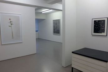 Contemporary art exhibition Group Show Photographs and photograms at Hamish McKay Wellington New Zealand