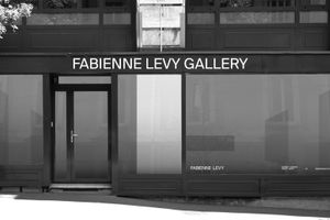 Fabienne Levy contemporary art gallery in Lausanne Switzerland