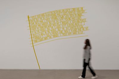 Shilpa Gupta Lines of Flight