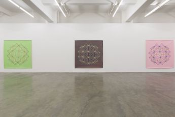 Contemporary art exhibition Kerrie Poliness Non-Objective Wildflowers at Anna Schwartz Gallery Melbourne Australia