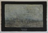 Pseudognaphalium ephemerum by Michael Shepherd contemporary artwork works on paper mixed media