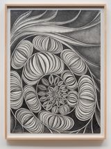 Living Fossil 4 by Faith Wilding contemporary artwork drawing works on paper