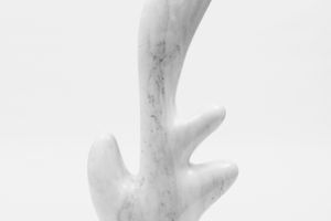 Claudia Comte