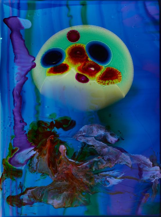 Sharons predictions for the future included domestic pets for organ replacements home based liposuction parties and all films having a G Rating by Dale Frank contemporary artwork Painting