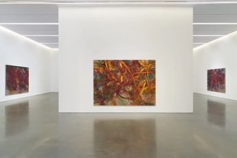 Contemporary art exhibition Nigel Cooke How the World Became Natural at Pace Gallery 540 West 25th Street New York United States