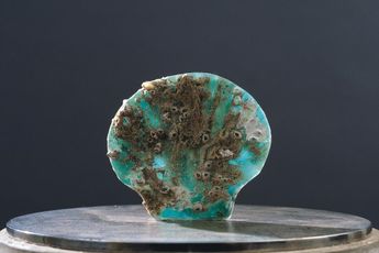 Amelia Toledo contemporary artist