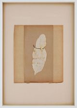 From Tear Garden by Jae-Eun Choi contemporary artwork works on paper