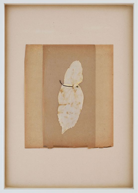 From Tear Garden by Jae-Eun Choi contemporary artwork Works on Paper