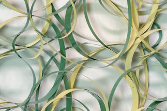 Contemporary art exhibition Group Exhibition The Green New Deal at Bartha_contemporary Online Only United Kingdom