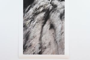 Anne Noble