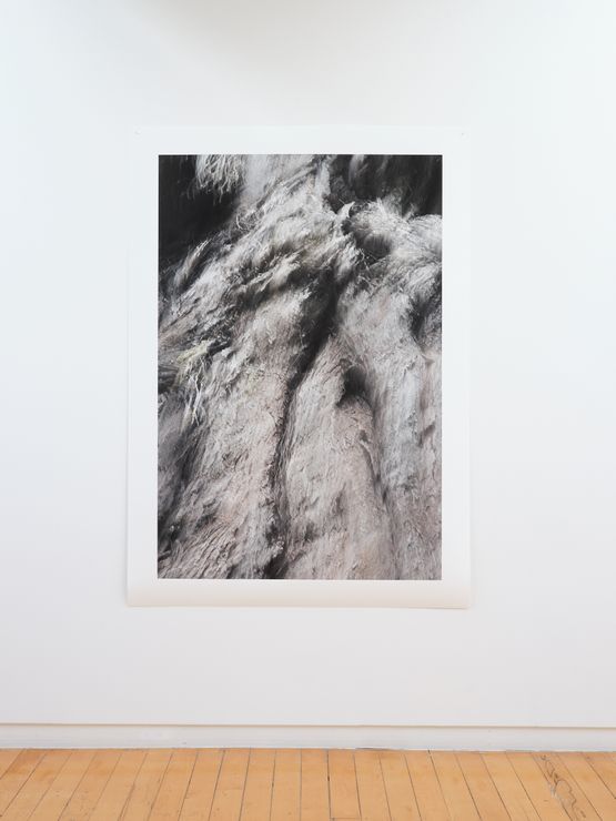 Ratanui 7 Tarapuruhi Whanganui by Anne Noble contemporary artwork Photography