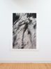 Ratanui 7 Tarapuruhi Whanganui by Anne Noble contemporary artwork Photography