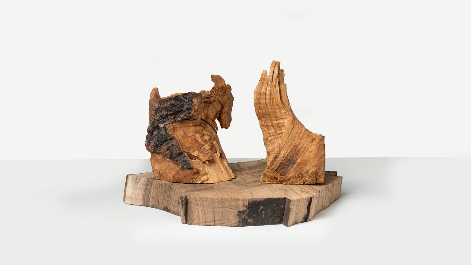 David Nash