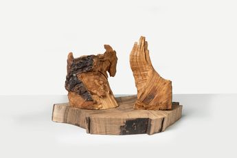 Contemporary art exhibition David Nash Catching Forms. Wood to Bronze at Galerie Lelong 13 Rue de Teheran Paris France