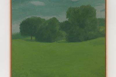 Will Gabaldons Verdant Scenery at Various Small Fires