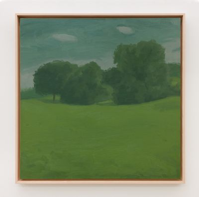 Will Gabaldons Verdant Scenery at Various Small Fires