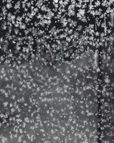 Crystals III by Tomoko Yoneda contemporary artwork photography