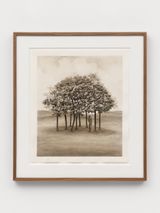 Figure Among Trees by Ryan Driscoll contemporary artwork works on paper