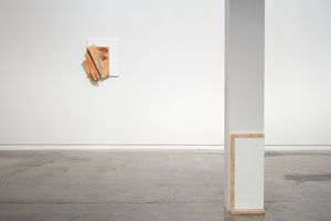 Curated by Rohan Hartley Mills  Glen Snow