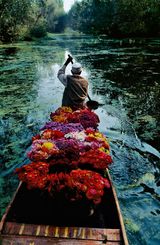 Flower Seller at Dal Lake Srinagar Kashmir by Steve Mccurry contemporary artwork photography