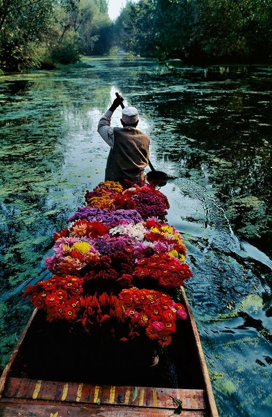 Flower Seller at Dal Lake Srinagar Kashmir by Steve Mccurry contemporary artwork Photography