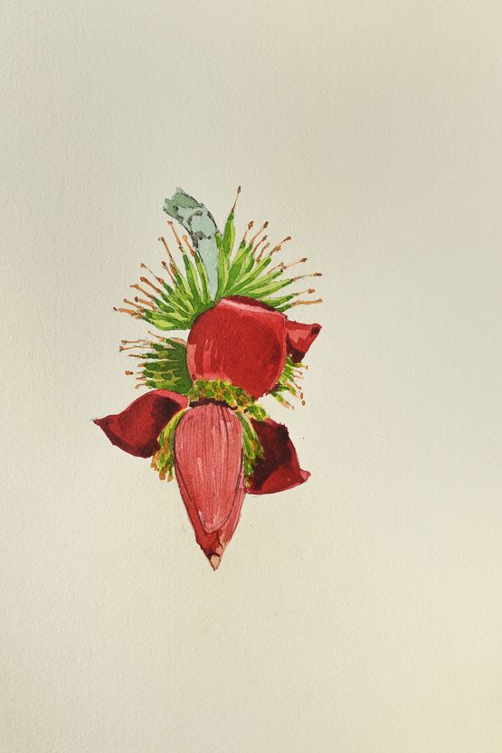 Mocha by Rathin Barman contemporary artwork Works on Paper