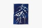 Untitled by Tue Greenfort contemporary artwork Works on Paper