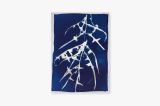 Untitled by Tue Greenfort contemporary artwork works on paper