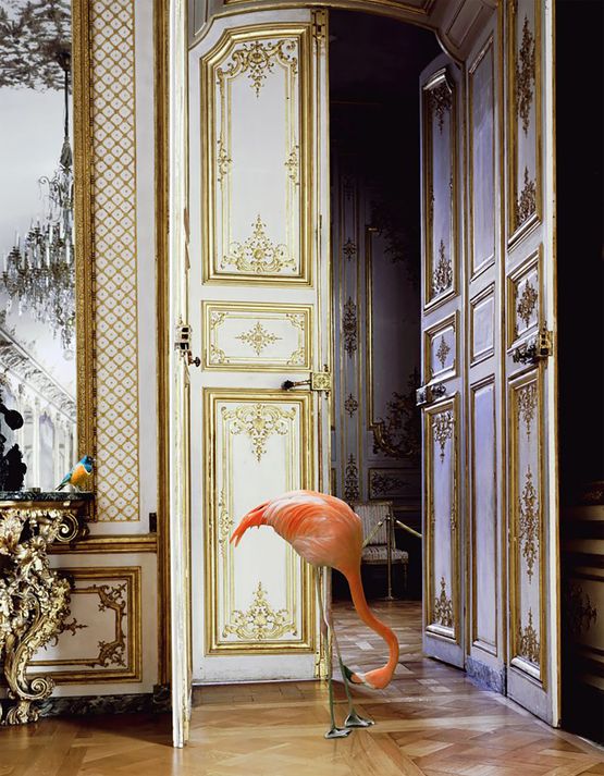 The Battle Gallery Chateau de Chantilly by Karen Knorr contemporary artwork Photography