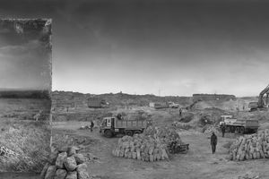 Nick Brandt