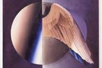 Angela Fette contemporary artist