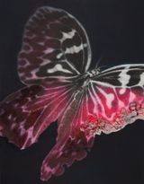 Cyborg Butterfly 5 by Yoshiaki Nakamura contemporary artwork painting