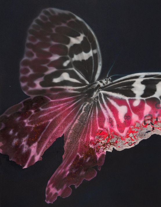 Cyborg Butterfly 5 by Yoshiaki Nakamura contemporary artwork Painting