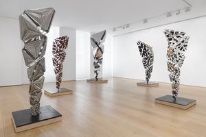 Conrad Shawcross