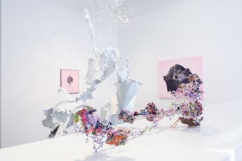 Contemporary art exhibition Aljoscha Invincible Happiness Not Just For Humans But For All Sentient Life at Beck  Eggeling International Fine Art Dusseldorf Germany