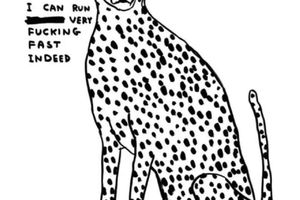 David Shrigley