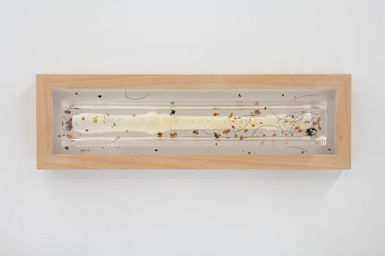 Hold Your Breath the ghost chord 1 by Caitlin Devoy contemporary artwork Sculpture