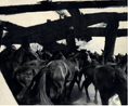 Running into a Picture by Nina Pohl contemporary artwork Print