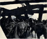 Running into a Picture by Nina Pohl contemporary artwork print