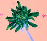 Grain Rain Series-Flower with Flying Text 8 by Hung Keung contemporary artwork moving image