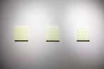 Alicia Framis contemporary artist