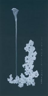 One Flower One World No. 2 by Yuan Hui-Li contemporary artwork painting works on paper sculpture drawing