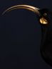 Hine Humarika Female Huia Profile Auckland Museum by Fiona Pardington contemporary artwork Photography