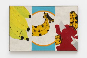 Antonio Henrique Amaral contemporary artist