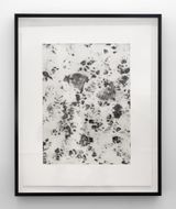 New Guy Shadow Carrots One and Carrots Two by Kate Newby contemporary artwork print