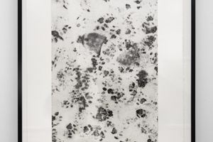 Kate Newby