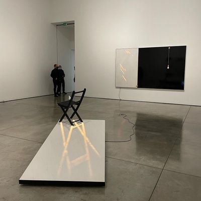 Wang Gongxins Spellbinding London Debut at White Cube