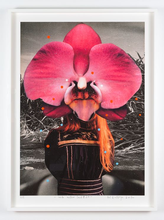 inside another land 20 by Del Kathryn Barton contemporary artwork Mixed Media