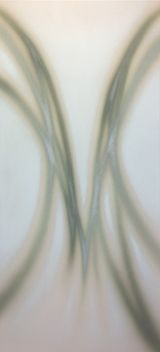 Leaves2 by Lucas Dupuy contemporary artwork painting